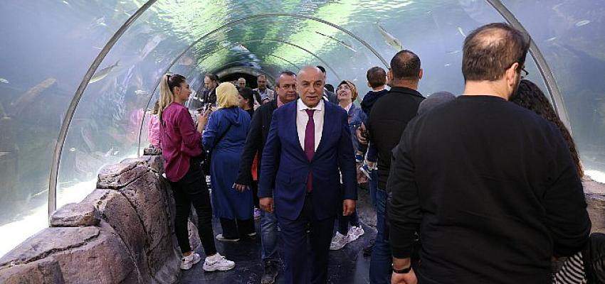 deniz-ve-okyanusa-heyecanli-bakis.jpg