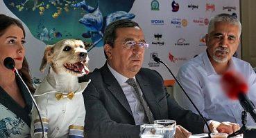 Patilerin Festivali’nden üçüncü kez Merhaba