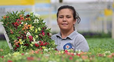 Antalya sokaklarını 3 milyon çiçek süsleyecek