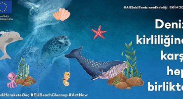 Avrupa Birliği Türkiye Delegasyonu’ndan Temiz Okyanuslar ve Denizler İçin Harekete Geçme Çağrısı