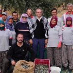 belediye-zeytinliklerinin-ilk-hasadi-baskan-mesut-erginden.jpg