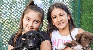 Buca Belediyesi bir gün değil her gün can dostlarının yanında