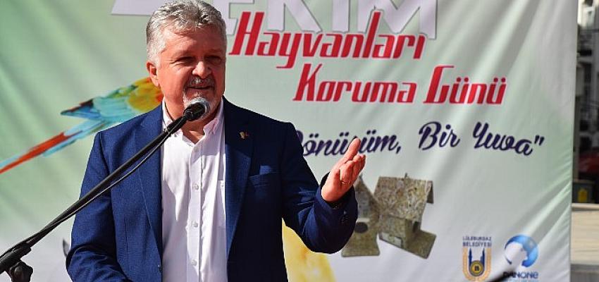 donusturulemeyen-ambalaj-atiklari-onlarin-yuvasi-oldu.jpg
