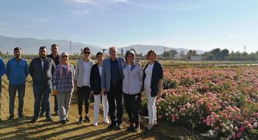 Ödemiş’ten Başkent’e gül köprüsü: Teşekkürler Mansur Başkan