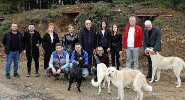 Sokak Canları Korunaklı Yuvalara Kavuştu