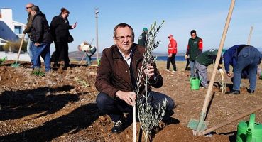 Ayvalık Belediye Başkanı Mesut Ergin: Düzya Zeytin Ağacı Günü Kutlu Olsun