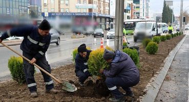 D-100 kuzey yan yolda yeşillendirme çalışması