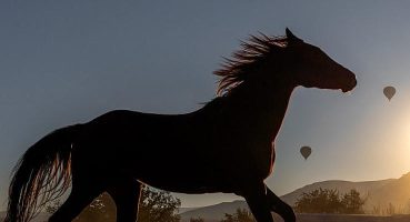 Enis Öncüoğlu “FORM_AT” sergisi ile Goba Art&Design’da