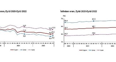 Mevsim etkisinden arındırılmış işsizlik oranı yüzde 10,1 seviyesinde gerçekleşti