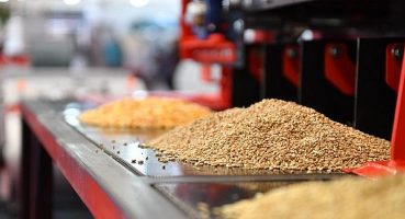 TABADER, Tahıl Zirvesi Masasını Rusya’da Kuruyor