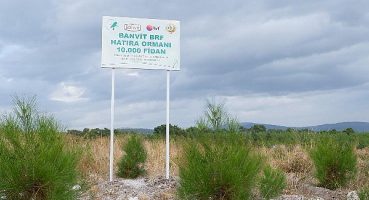 Banvit BRF Ormanı 40 bin ağaca ulaştı