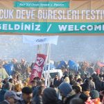 efes-selcuk-deve-guresleri-festivali-on-binleri-pamucakta-bulusturdu.jpg