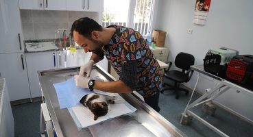 Hayvan Dostu Belediye: Menderes Belediyesi