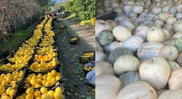 Metro Türkiye'den Deprem Bölgesindeki Üreticilere Sürdürülebilir Destek