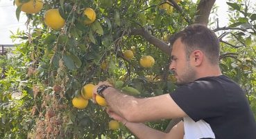 Küçükçekmece Belediyesi'nden Hatay'daki Üreticilere Destek!