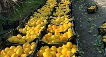 Hatay'dan yerel ürünler ile ''Bu Ramazan, bereketi paylaşmanın tam zamanı'', Hatay Beyaz Balkabağı ile Zencefilli Balkabağı Çorbası tarifi