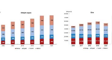 TÜİK: Yurt Dışında Kontrol Edilen Girişim İstatistikleri, 2021