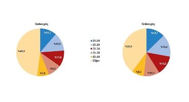 TÜİK: Yurt dışından Türkiye'ye 340 bin 845 kişi göç etti