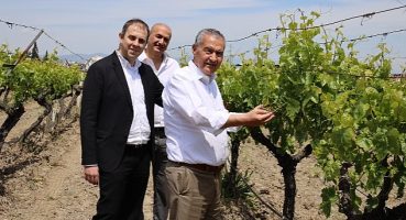 “NEİN (Hayır) demeyi öğrendiğimiz gün kuru üzümümüz para edecek"