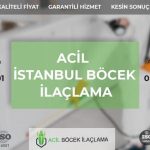 İstanbul Acil Böcek İlaçlama Firmaları