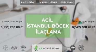 İstanbul Acil Böcek İlaçlama Firmaları