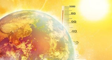 Türkiye'nin Anafilaksi Haritası çıkarıldı