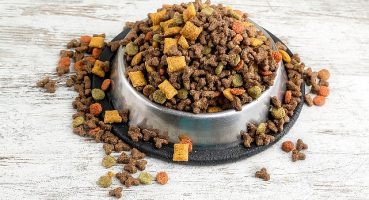 Can dostların mamaları Türkiye'de üretiliyor Türkiye, kedi-köpek maması ihracatında 100 milyon dolar hedef koydu