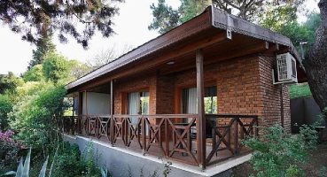 İBB, Orman Bakanlığı'ndan satın aldı