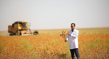 Başkan Altay: “Susuz Tarım Modeliyle Ürettiğimiz Aspirin Hasadını Yaptık"