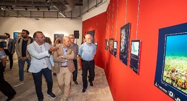 “Bu güzelim Körfez'de tekrar yüzeceğiz"