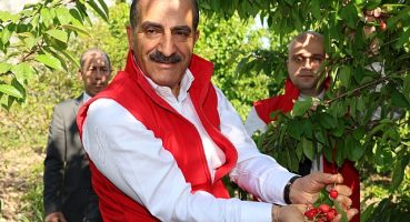 Kirazda rekor yılı: 205 milyon dolara ulaştı