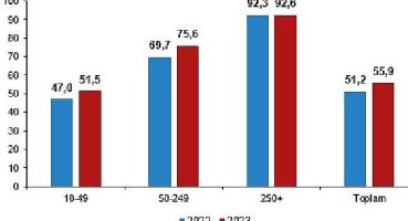 İnternet erişimine sahip girişimlerin oranı yüzde 96,0 oldu