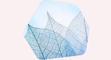 Kaspersky, Orta Doğu bölgesindeki ilk Şeffaflık Merkezinin açılışını gerçekleştiriyor