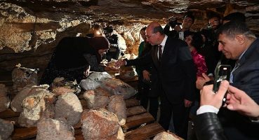 Peynir Tulumundan İlk Hasat Programı Gerçekleştirildi