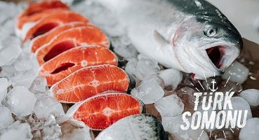 Dünya Türk levreği ve çipurasını taze, Türk somonu ve alabalığını dondurulmuş sevdi