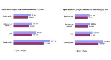 Kazanç Yapısı İstatistikleri, 2022