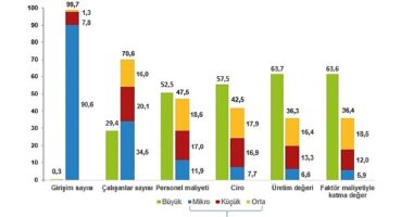 Küçük ve Orta Büyüklükteki Girişim İstatistikleri, 2022