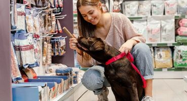 Türkiye evcil hayvan ürünleri pazarında