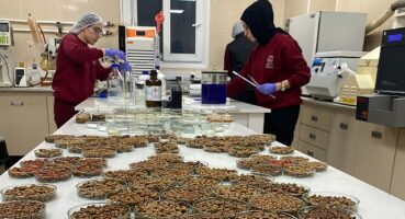 Kedi köpek maması ihracatı 10 yılda 27 kat arttı 4 milyon dolardan 122 milyon dolara çıktı