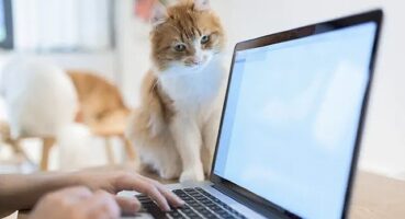 Kişisel cihaz kullanımı şirketleri riske sokuyor