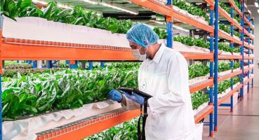 Emirates Flight Catering, dünyanın en büyük kapalı dikey çiftliği Bustanica'yı satın aldı