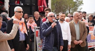 Kemalpaşa'da Boğa Güreşi Festivali