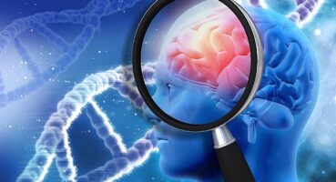 Beyin Sağlığını Güçlendiren 5 Etkili Besin