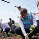 beylikduzu-belediyesi-tarafindan-hayata-gecirilen-ve-kent-tarimina-buyuk-katki-sunan-yasam-bahcesinde-yaz-mevsiminin-ilk-fideleri-dikildi.jpg