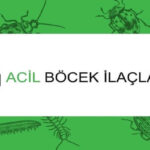 Böcek İlaçlama