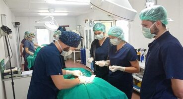 Geleceğin veteriner hekimlerine uygulamalı eğitim