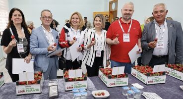 Menemen’de bu yıl 14. kez gerçekleştirilen Emiralem Çilek Festivali, yüz binlerce ziyaretçinin buluşma noktası oldu