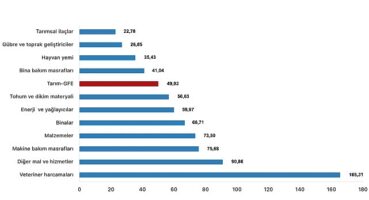 Tüik: Tarımsal girdi fiyat endeksi (Tarım-GFE) yıllık %49,93 arttı, aylık %1,16 arttı