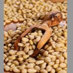 Çam Fıstığı Fiyatı