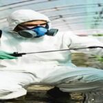 Böcek İlaçlama: Ankara’da Ev Sağlığınız İçin Almanız Gereken Adımlar